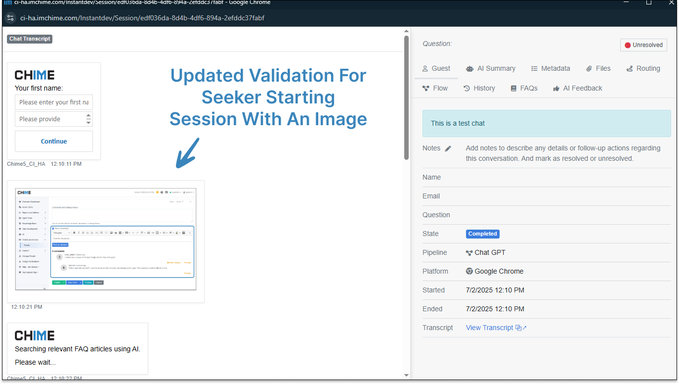 Chat Transcript - Seeker Starts Session With Image