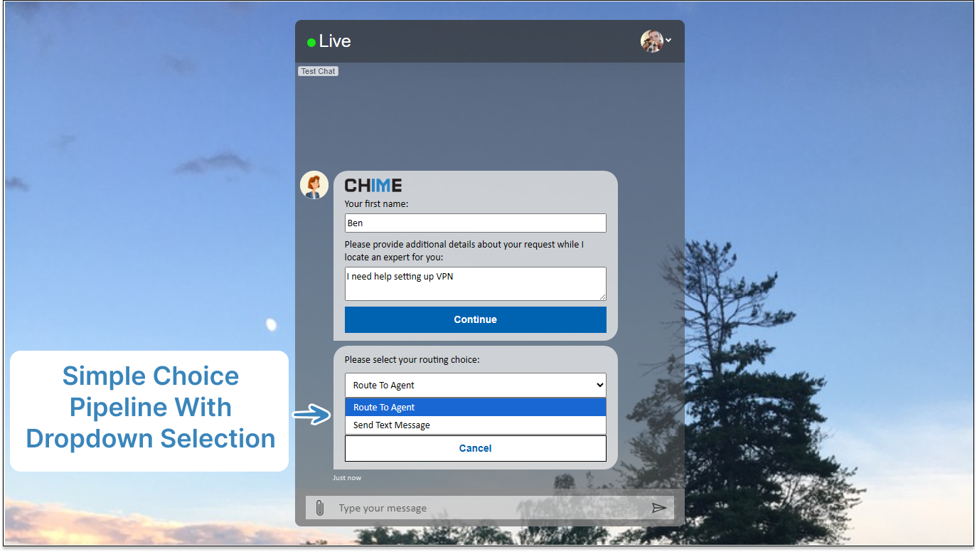 Simple Choice - Dropdown Selection