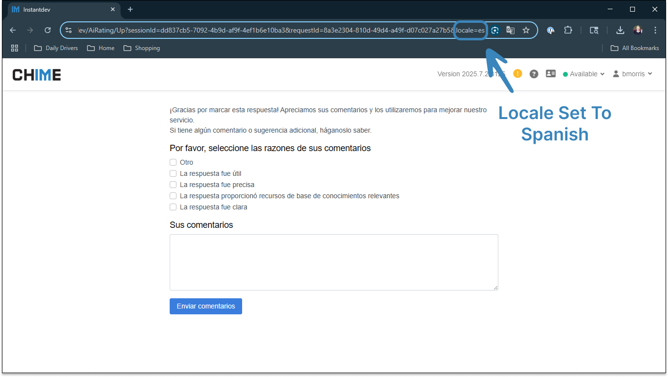 Webclient Feedback Form - Locale Spanish